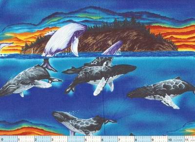 Right Whales Ocean Portraits of the Wild
